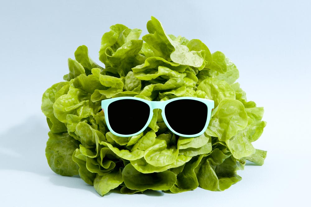 healthy-food-letuce